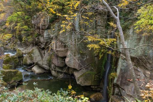 秋の磊々峡⑽ 秋,紅葉,磊々峡の写真素材