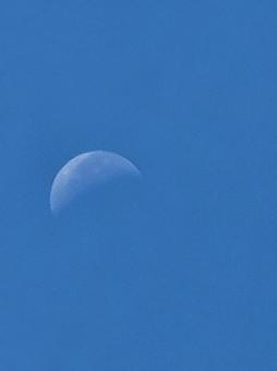 2025年7月19日8時半頃の上限の月 2025年7月19日8時半頃の上限の月 月,上限の月,空の写真素材