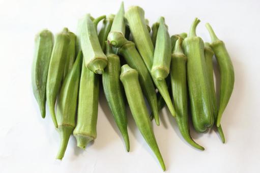 おくら オクラ 陸蓮根 おくら オクラ 陸蓮根 おくら,陸蓮根,緑の写真素材