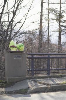 長野県南佐久郡川上村にある川上大橋 長野県南佐久郡川上村にある川上大橋の写真