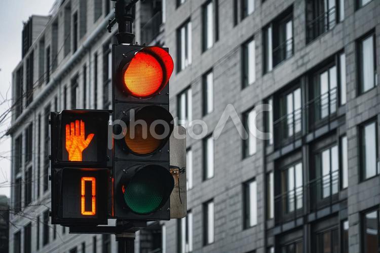 信号とモントリオールのビル街 信号,赤,ビルの写真素材