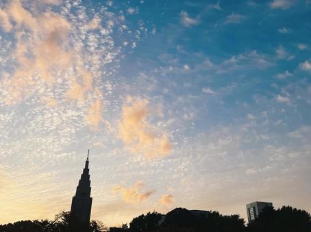 夕焼けに染まる都会の空 空,夕焼け,雲の写真素材