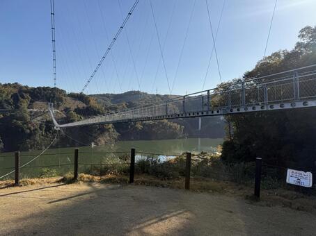 ダムと紅葉と橋 ダム,紅葉,もみじの写真素材