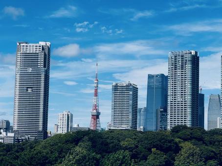 都市の街並み 都市の街並み タワーマンション,街並み,コンクリートジャングルの写真素材