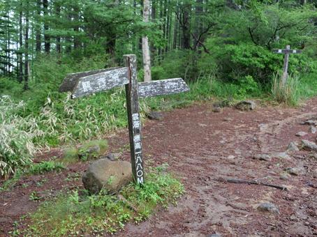 編笠山への登山道(雲海) 編笠山への登山道(雲海) 八ヶ岳,編笠山,観音平の写真素材