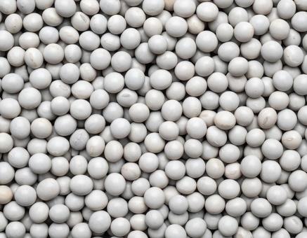 灰色の小粒豆の集合 灰色の小粒豆の集合の写真