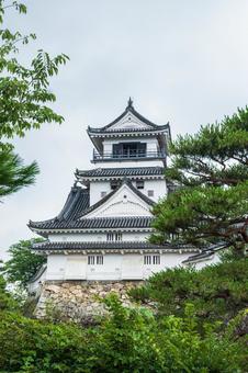 Photo, city, castle, kochi, 