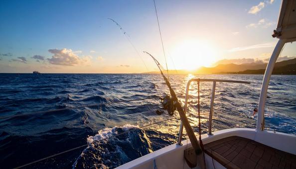 釣りのクルージング 釣りのクルージングの写真