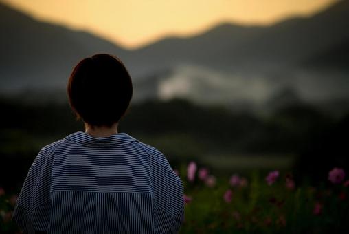<素材>秋のコスモス畑の日暮れと女性 <素材>秋のコスモス畑の日暮れと女性 女性,サンセット,夜明けの写真素材