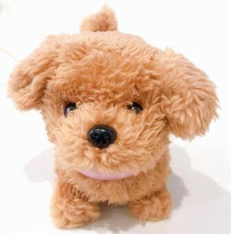 ぬいぐるみ ぬいぐるみ,トイプードル,トイプードルぬいぐるみの写真素材
