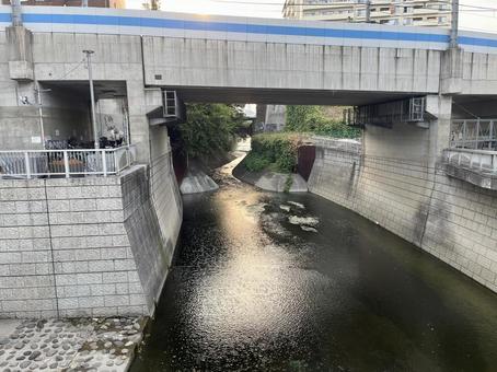 高田馬場での神田川 高田馬場での神田川 神田川,高田馬場,河川の写真素材