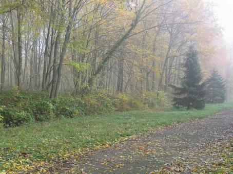 Autumn Path, JPG Autumn Path, JPG