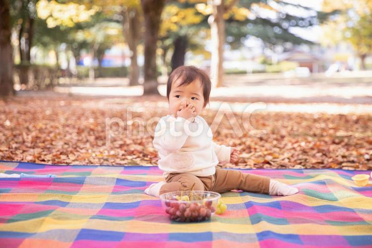 ブドウを食べる赤ちゃん 赤ちゃん,あかちゃん,食べるの写真素材