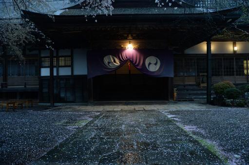 高野山の春の写真