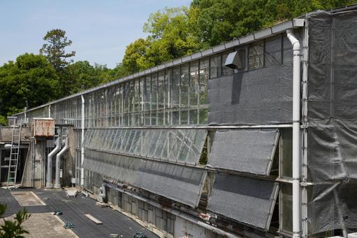 東山動植物園(温室後館) 東山動植物園(温室後館) 東山動植物園,温室後館,閉鎖の写真素材