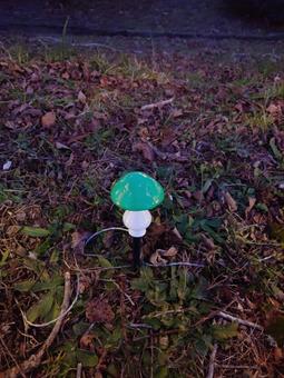 サンタランドオブジェ イルミネーション,サンタランド,広尾町の写真素材