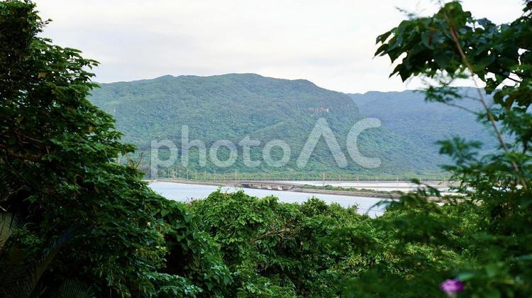 沖縄県西表島にある奥に見える船浦湾干潟 干潟,船浦湾,船浦の写真素材