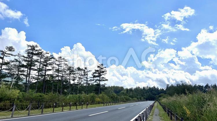 日光　戦場ヶ原を貫いく国道120号 日光,戦場ヶ原,ドライブの写真素材