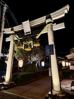 夜のあわら市　薬師神社 あわら市,夜景,庭の写真素材