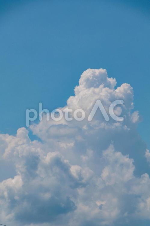 真夏の青空と白い雲 雲,空,風景の写真素材