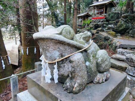 姥宮神社の蛙様 姥宮神社,蛙,狛犬の写真素材