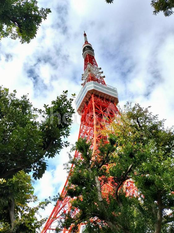 下から見上げる東京タワー 東京タワー,電波塔,東京のイメージの写真素材