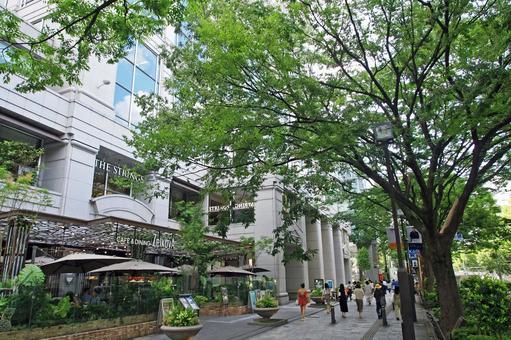 東京地鐵表參道站, JPG 東京地鐵表參道站, 오모테 산도, 참배 길, 거리, JPG