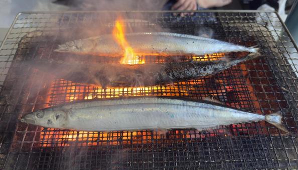 秋刀魚(さんま)を炭火で網焼き 秋刀魚(さんま)を炭火で網焼き さんま,サンマ,秋刀魚の写真素材