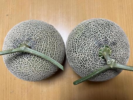 メロン めろん メロン めろん メロン,めろん,フルーツの写真素材