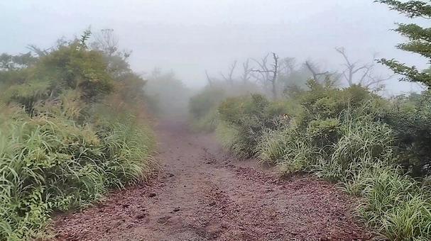 霧に覆われた山道 霧に覆われた山道の写真