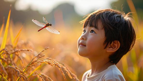 夏の終わり 稲穂の上を飛ぶ赤とんぼと子供 夏の終わり 稲穂の上を飛ぶ赤とんぼと子供の写真