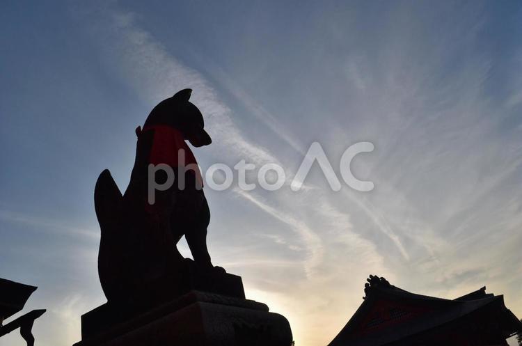 夕暮れ 夕暮れ,シルエット,狛犬の写真素材