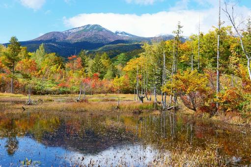 乗鞍高原の紅葉 乗鞍高原の紅葉 秋,オータム,紅葉の写真素材