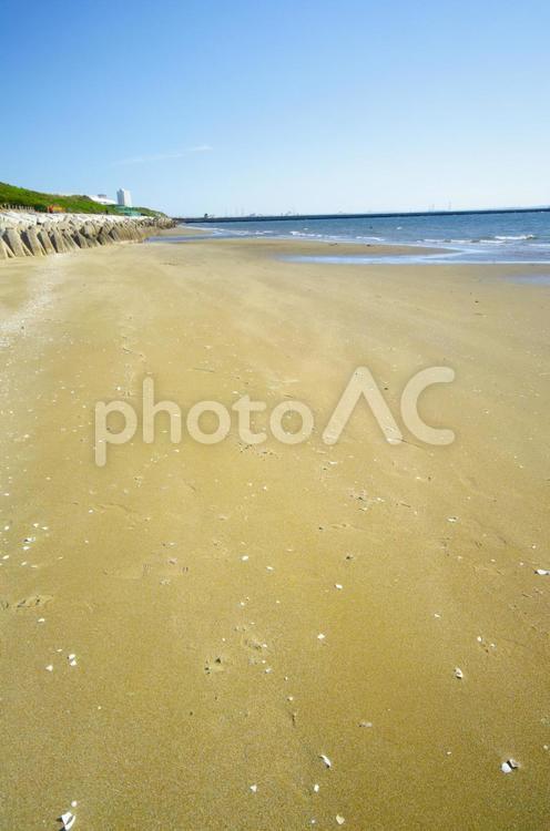 幕張海浜公園 幕張海浜公園,海,幕張の写真素材