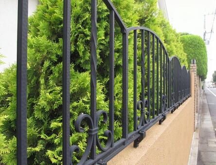 Iron fence road, green, green, road, JPG