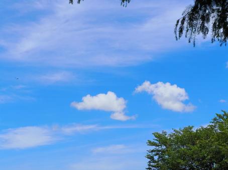 夏空と白い雲 夏空と白い雲の写真