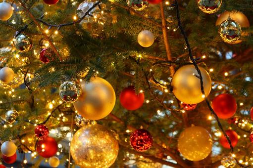 クリスマスツリー　２の写真