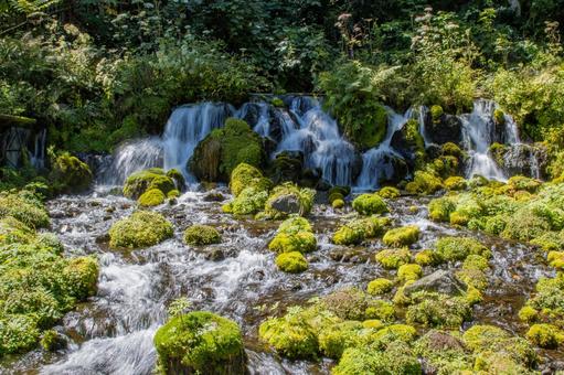 北海道 ふきだし公園 北海道 ふきだし公園 ふきだし公園,北海道,虻田郡の写真素材
