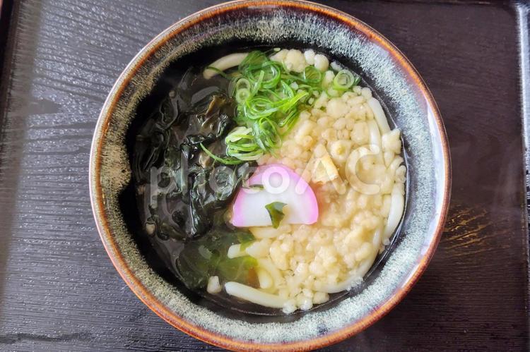 うどん うどん,麺類,和食の写真素材