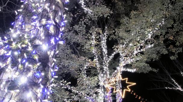 虹の郷　イルミネーション イルミネーション,クリスマス,夜景の写真素材
