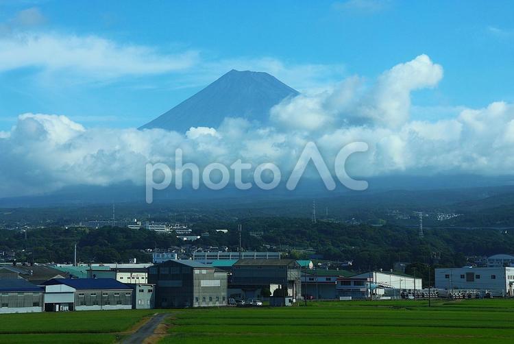 ７月下旬の新幹線からの夏の富士山 富士山,山,晴れの写真素材
