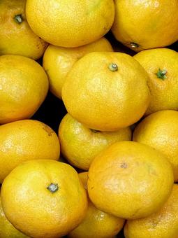 果物・ミカン ミカン,蜜柑,オレンジの写真素材