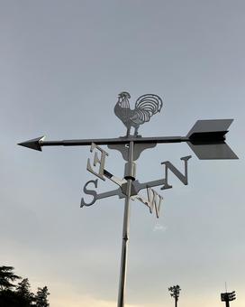 Weathervane and sunset, JPG