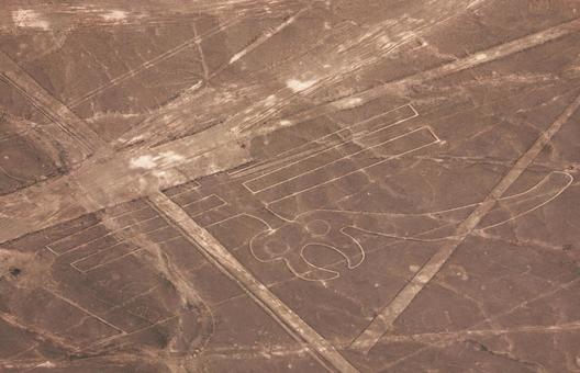 南米ペルー・ナスカの地上絵 オウム 南米ペルー・ナスカの地上絵 オウムの写真