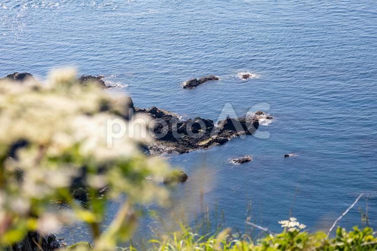 竜飛崎の先端の岩と津軽海峡 海,空,ジオパークの写真素材