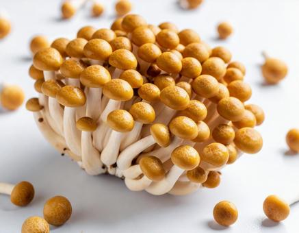 秋の味覚　なめこの写真