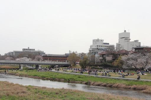 鴨川 鴨川の写真