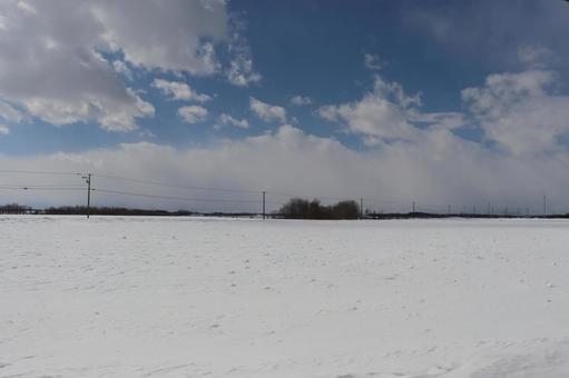 雪原 雪原の写真