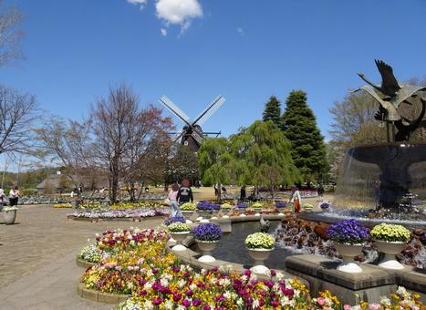 四月のアンデルセン公園-103 四月のアンデルセン公園-103 四月,ふなばしアンデルセン公園,千葉県船橋市の写真素材