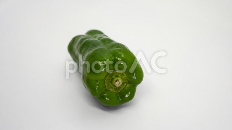 新鮮なピーマン　白背景　クローズアップ ピーマン,緑の野菜,野菜の写真素材